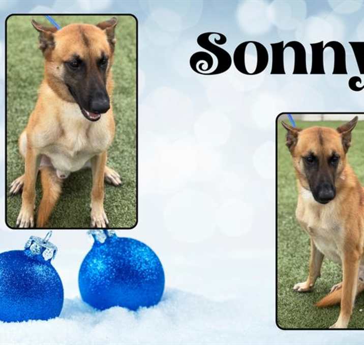 Photo of SONNY