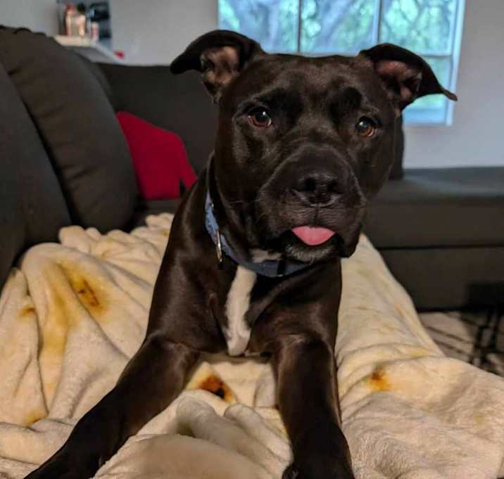 Photo of Maximillian