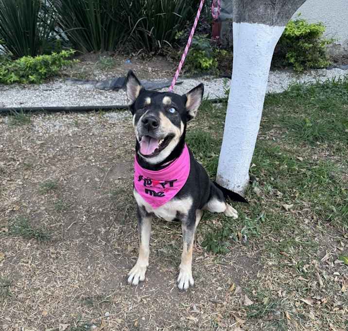 Photo of Kira