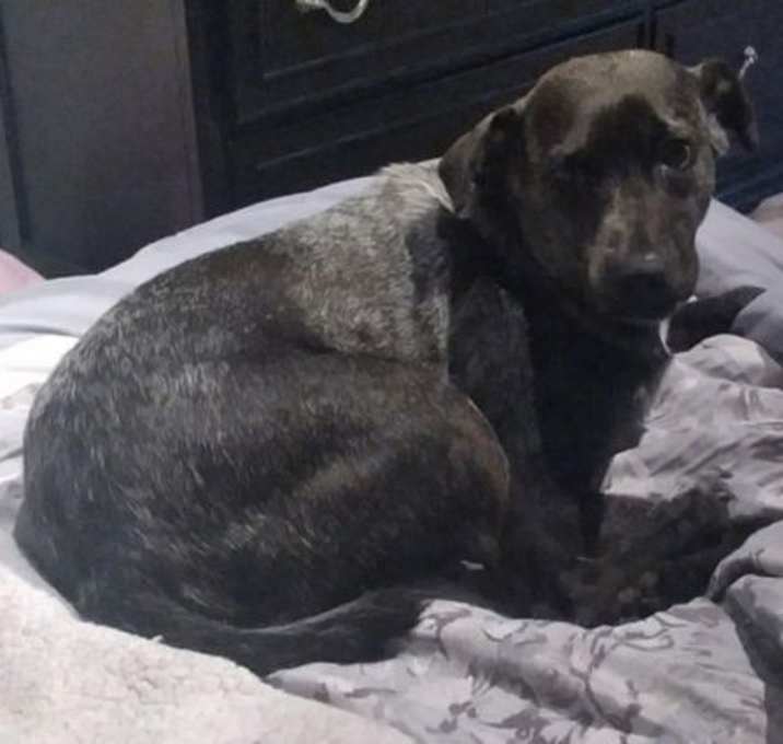 Photo of Betty2 (TX)