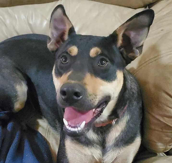 Photo of Jack