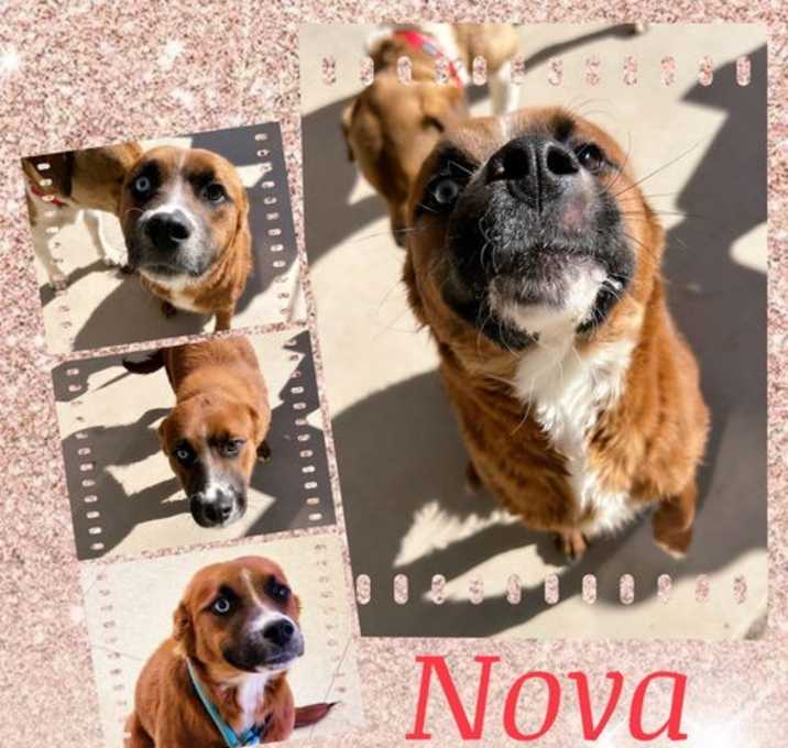 Photo of NOVA