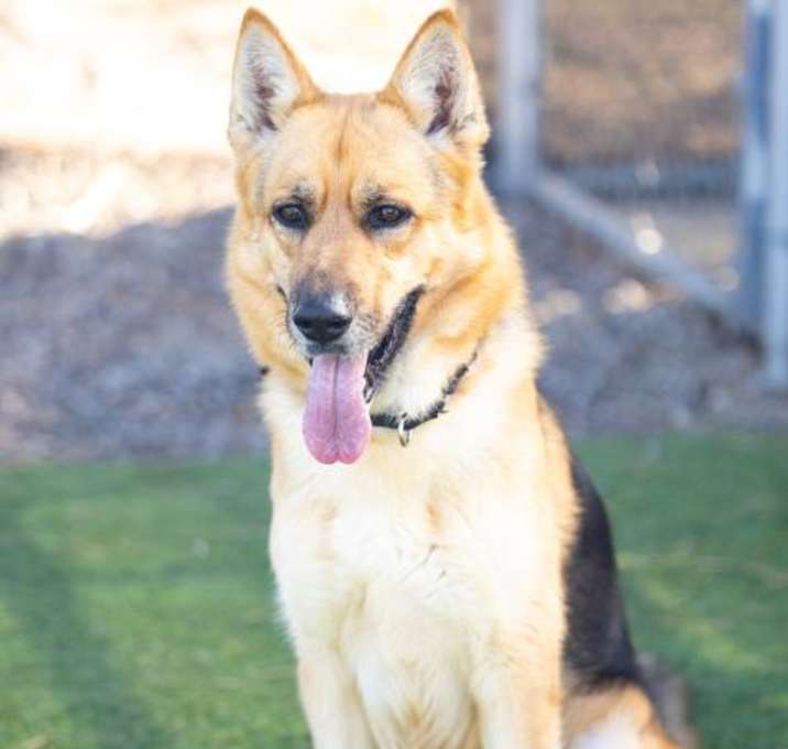 Photo of CASH