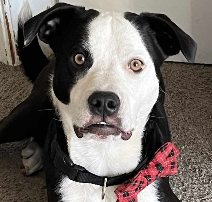 Photo of Reggie