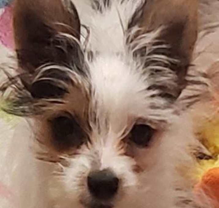 Photo of Eloise