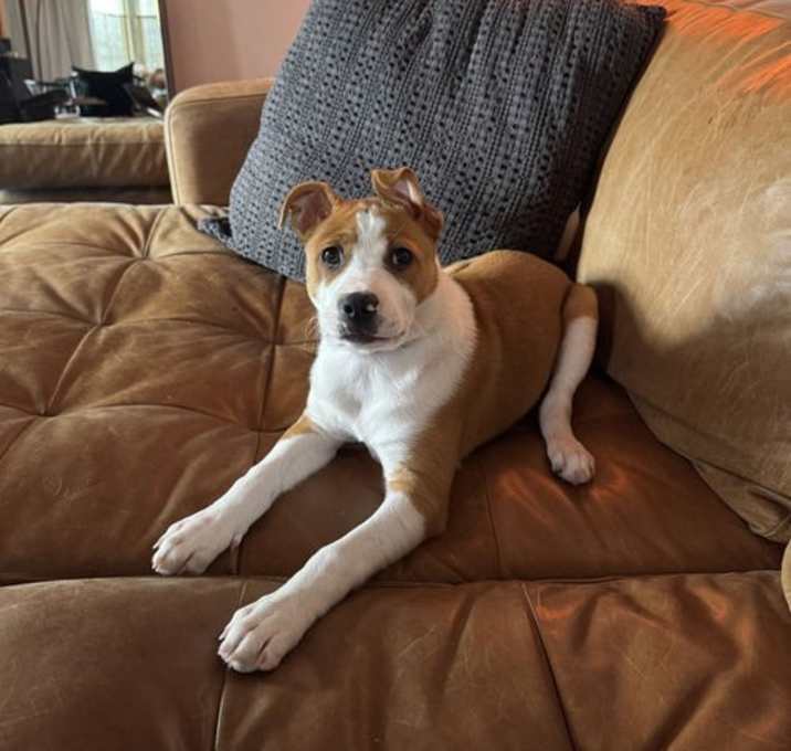 Photo of Roo
