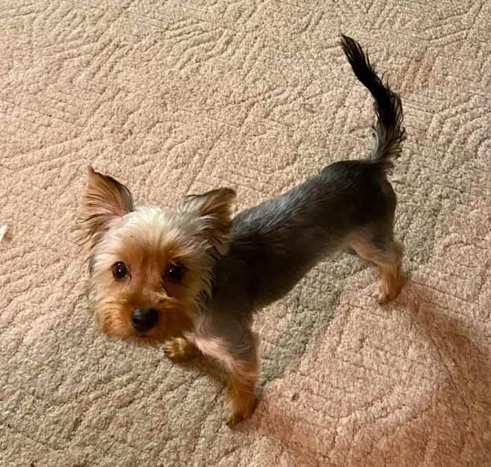 Photo of Arlo
