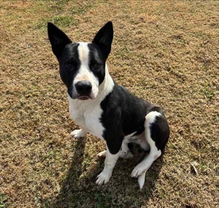 Photo of RIGGS