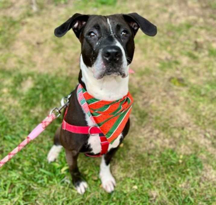 Photo of Ember