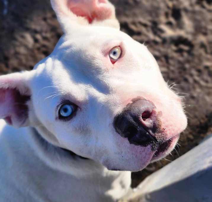Photo of CASPER