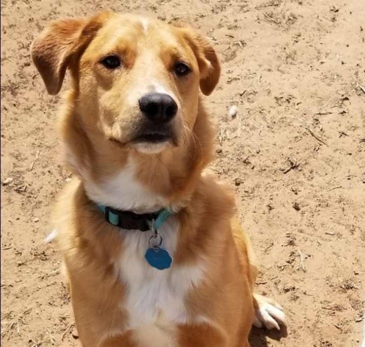 Photo of Rowdy Bee