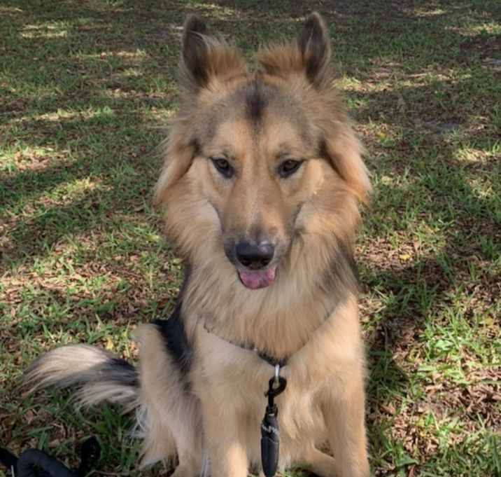 Photo of Stormy