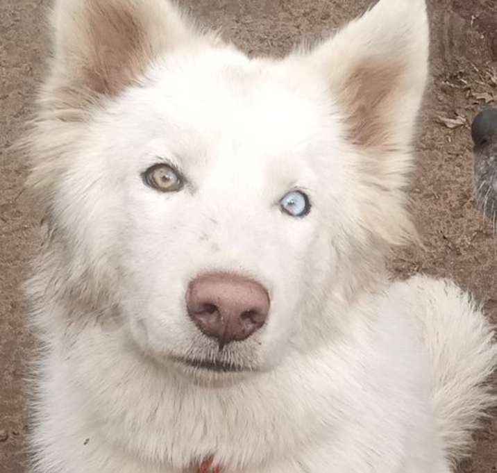 Photo of Whitney