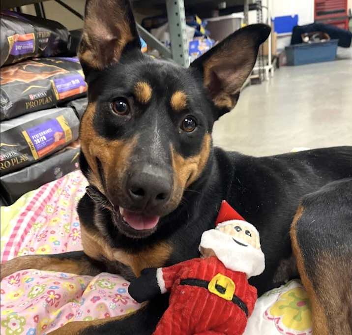 Photo of Cindy Lou