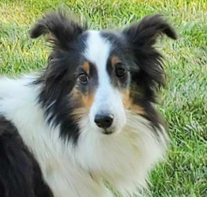 Photo of Emmy