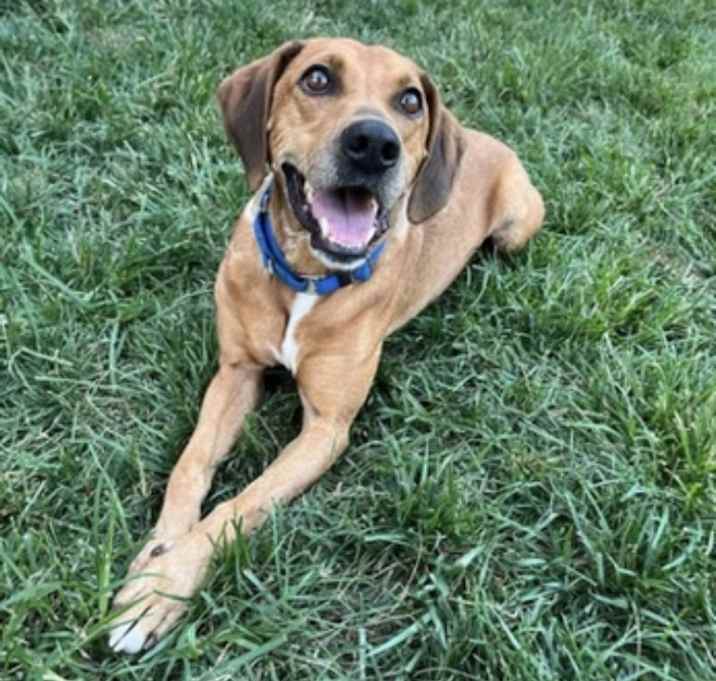 Photo of Marley