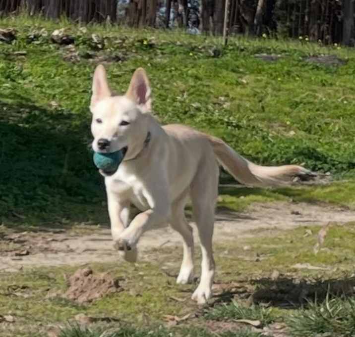 Photo of Astra