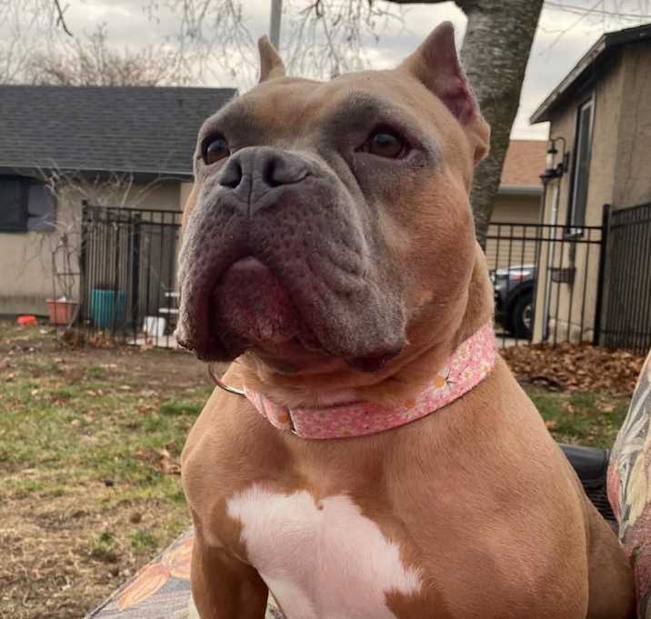 Photo of Honey