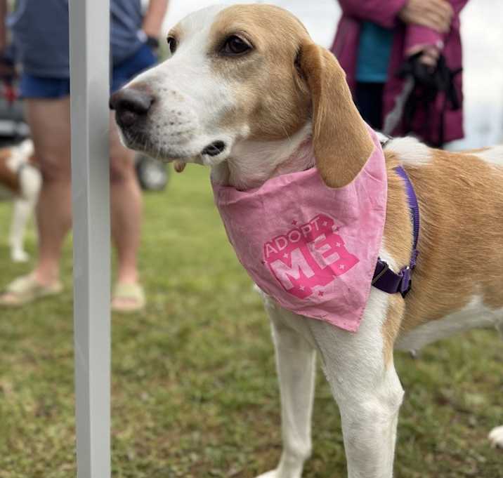 Photo of Dottie