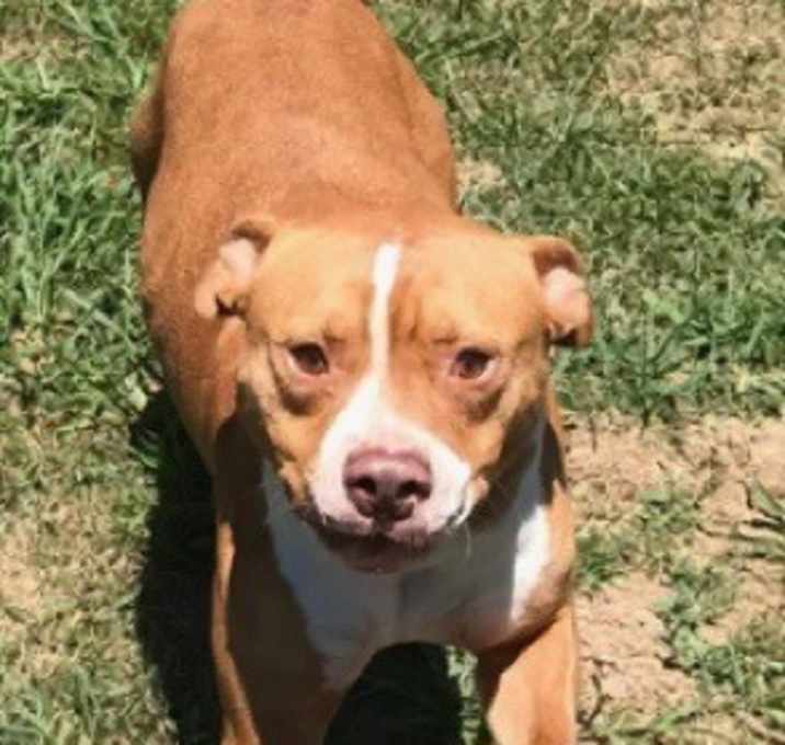Photo of Rocky