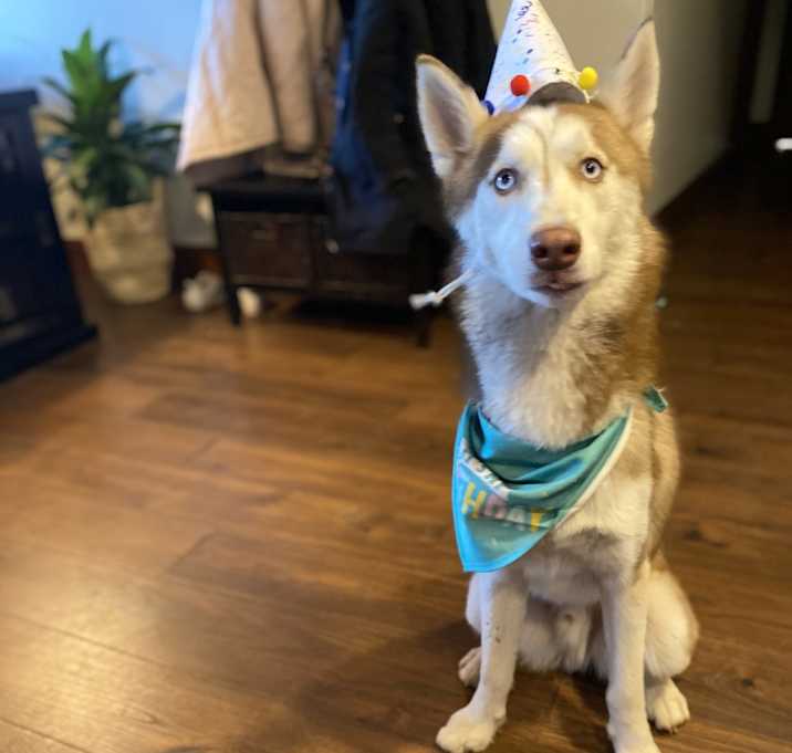Photo of Kai