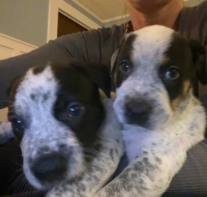 Photo of Earl and Merle