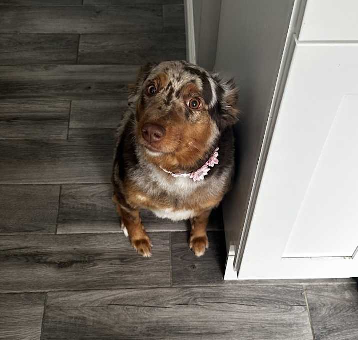 Photo of Athena