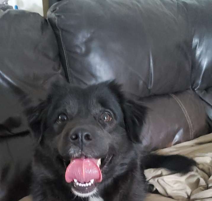 Photo of Mila