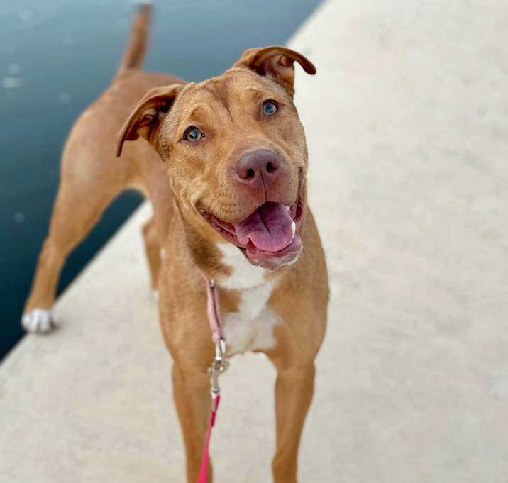 Photo of Luna