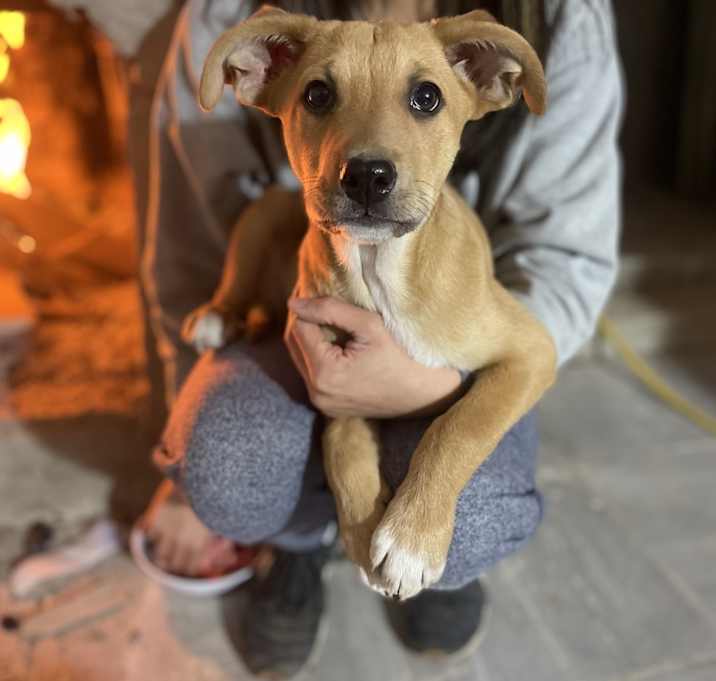 Photo of Diego