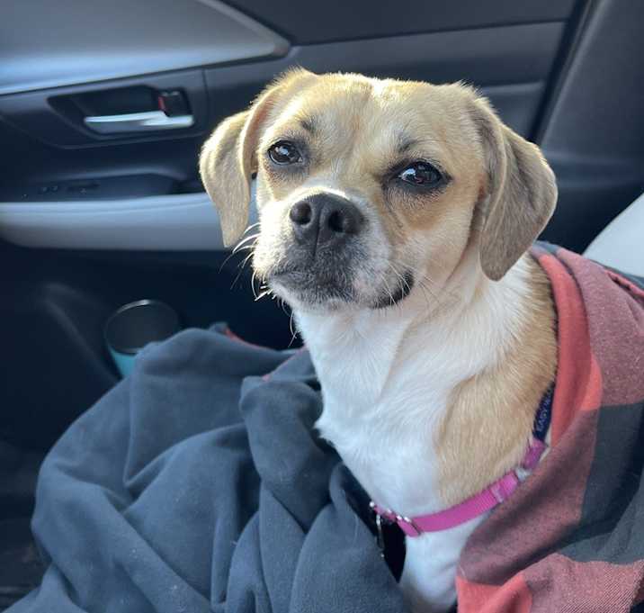 Photo of Winifred