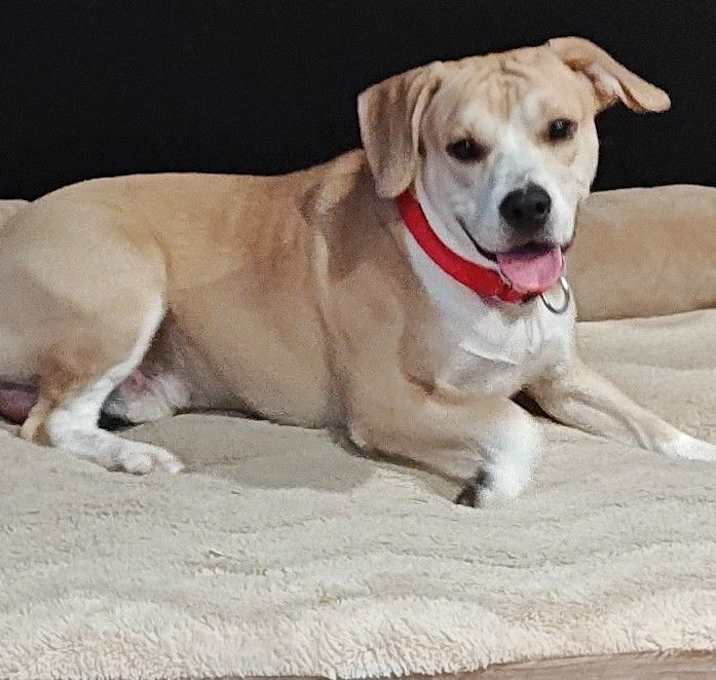 Photo of Henry