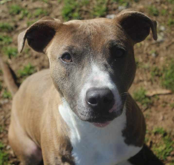 Photo of Nadia