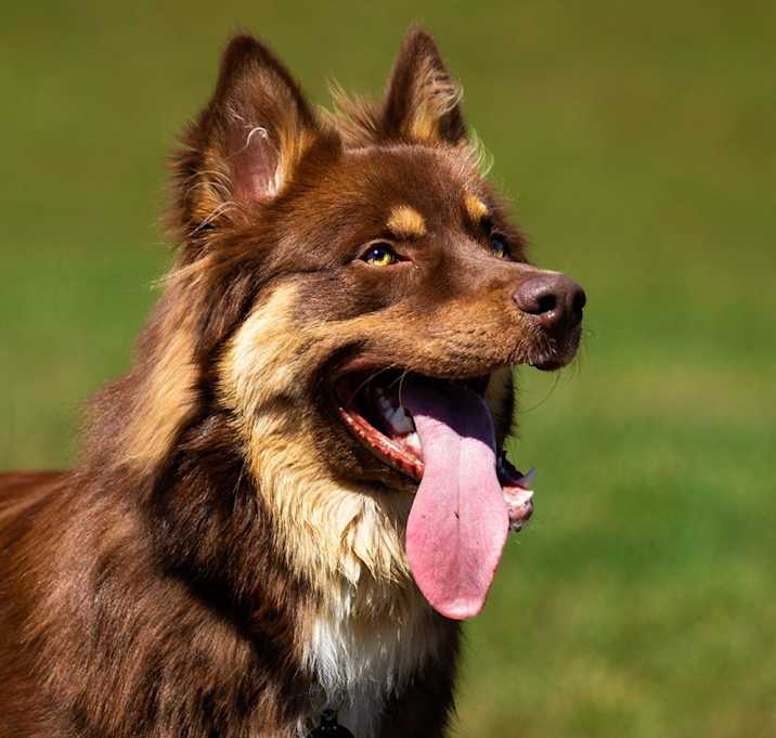 Photo of Wyatt