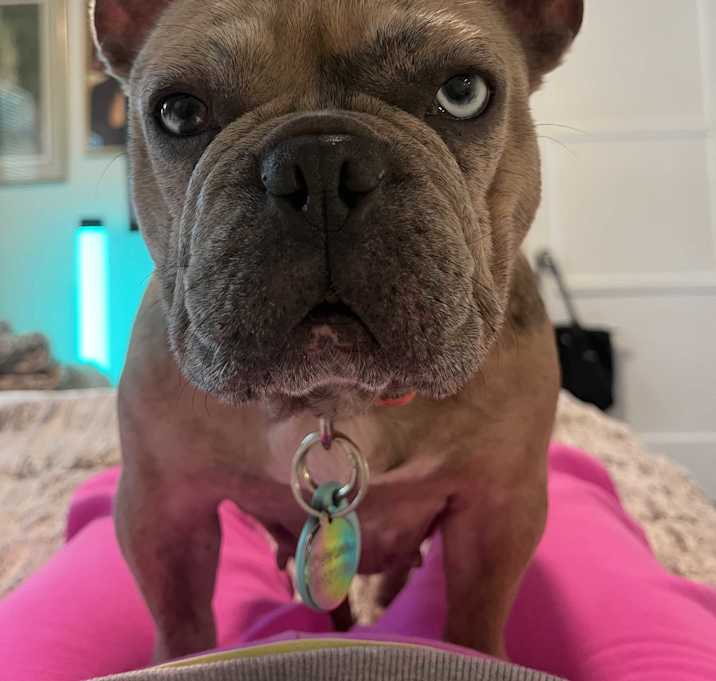 Photo of Pebbles