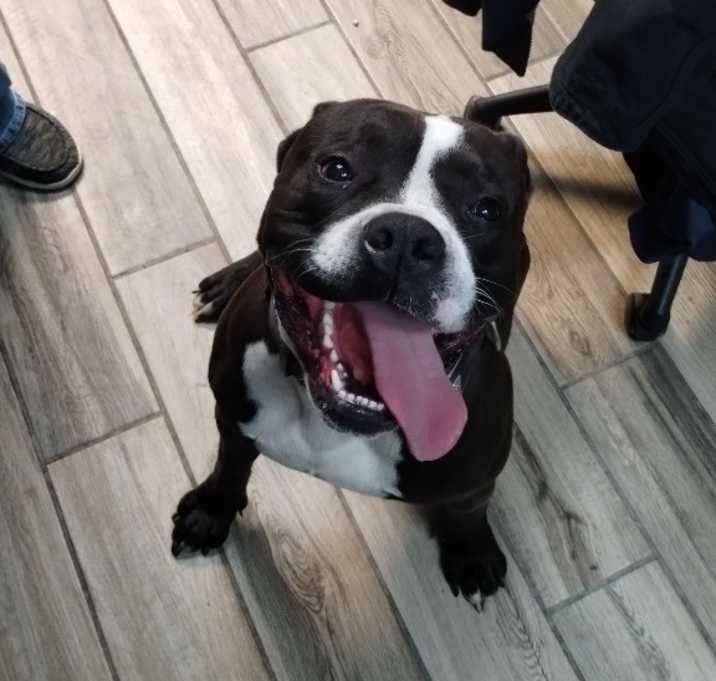 Photo of Big Guy
