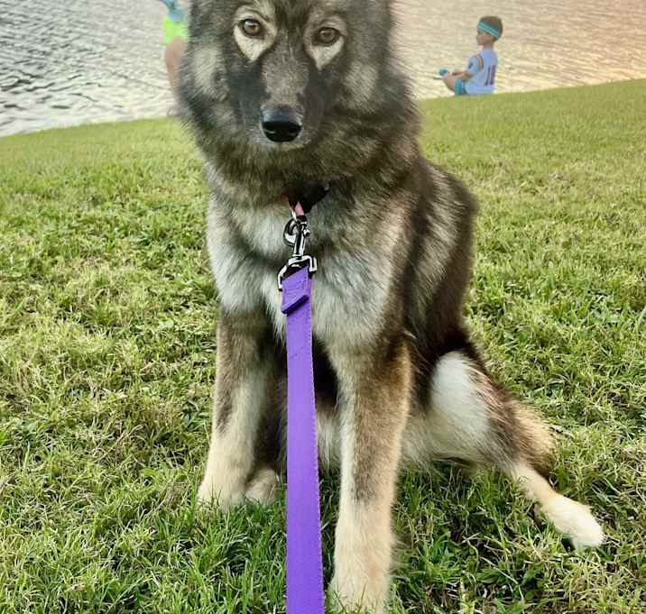 Photo of Sandy
