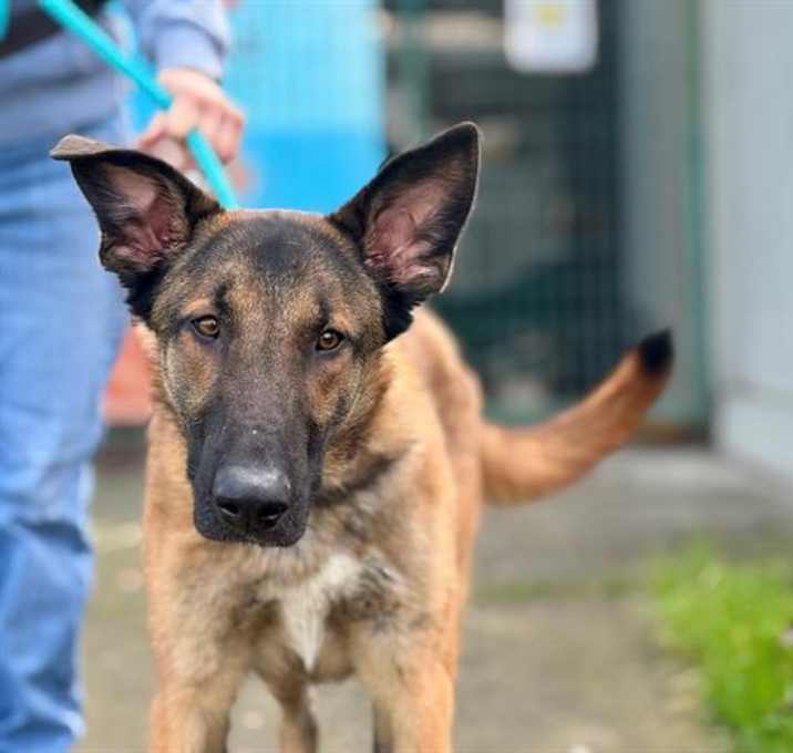Photo of *TURBO