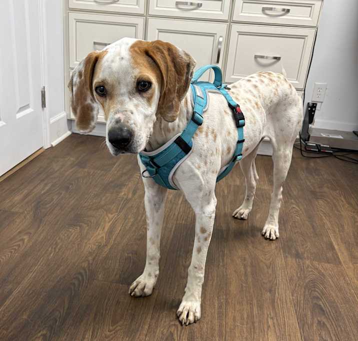 Photo of Earl