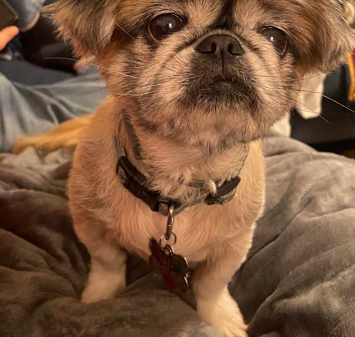 Photo of Lily