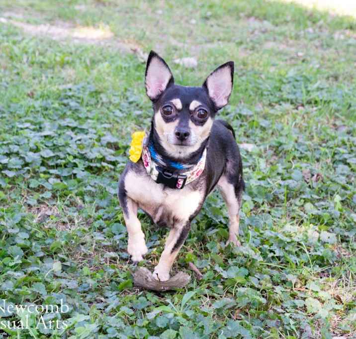 Photo of Kiwi