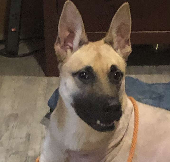 Photo of Jacob (Jake)