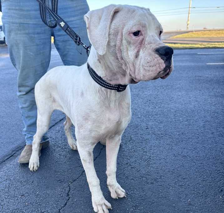 Photo of Ace