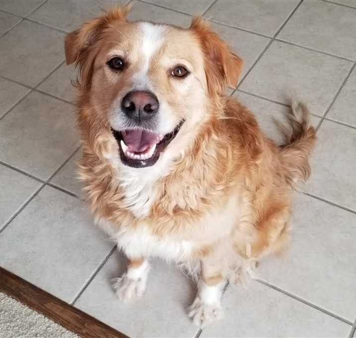 Photo of Zoey A