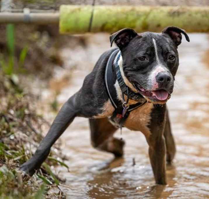 Photo of INDY
