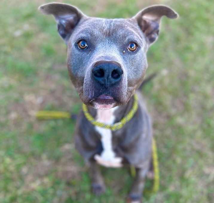 Photo of Beerus