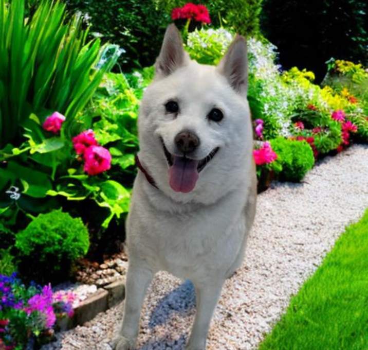 Photo of KAYLA