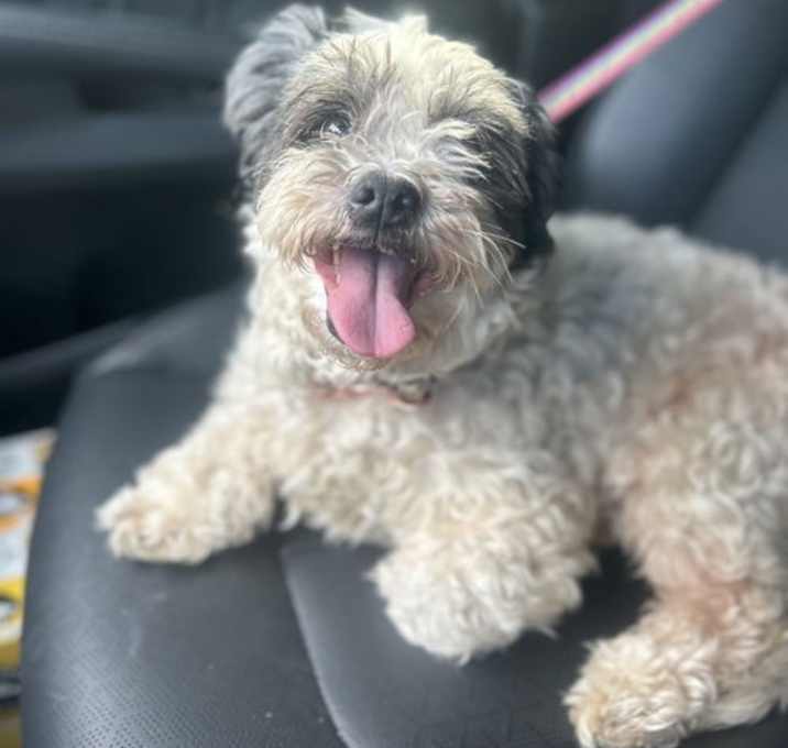 Photo of Gladys