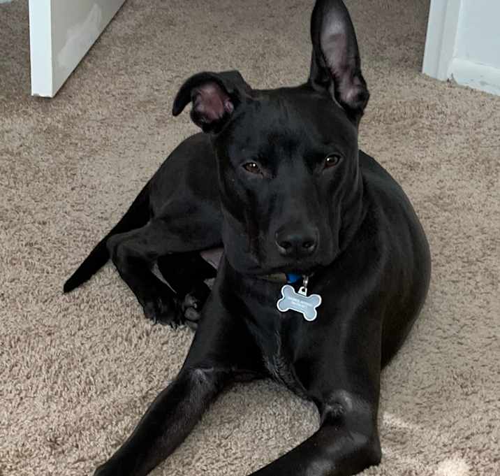Photo of Kaine
