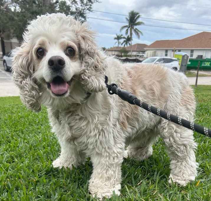 Photo of Milo
